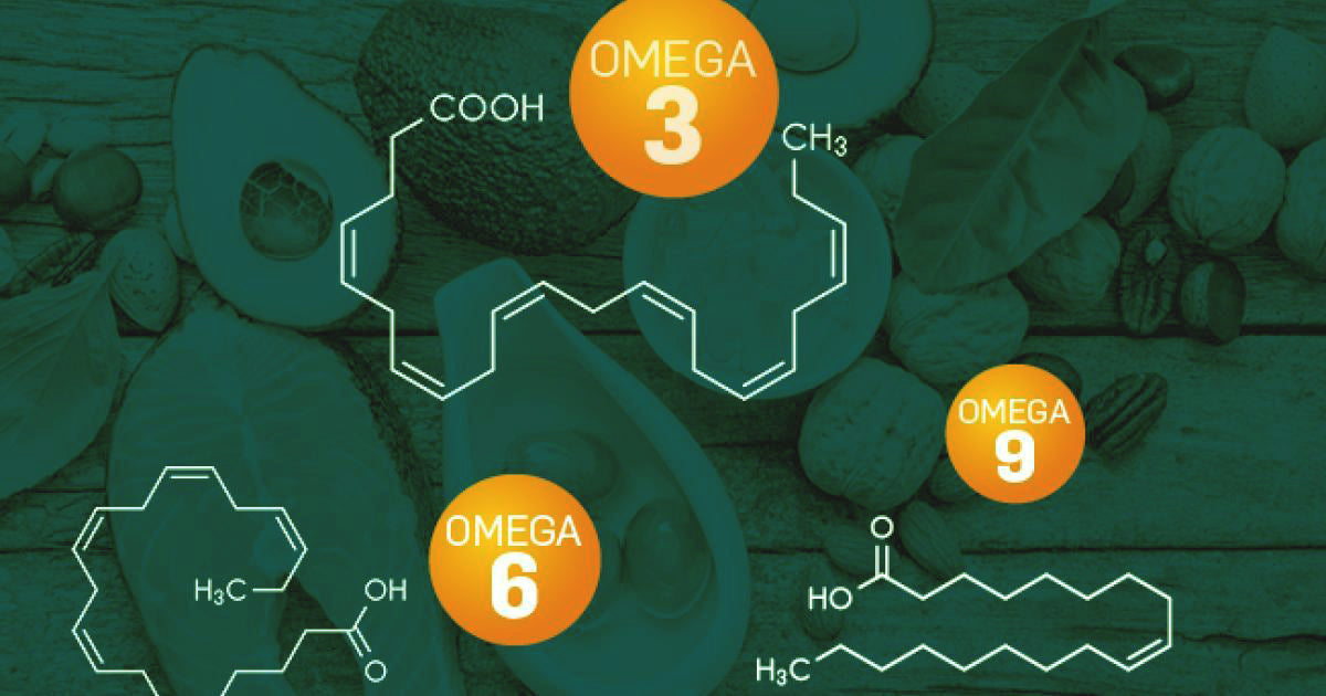Omega 3 and Omega 6 The British Hemp Company