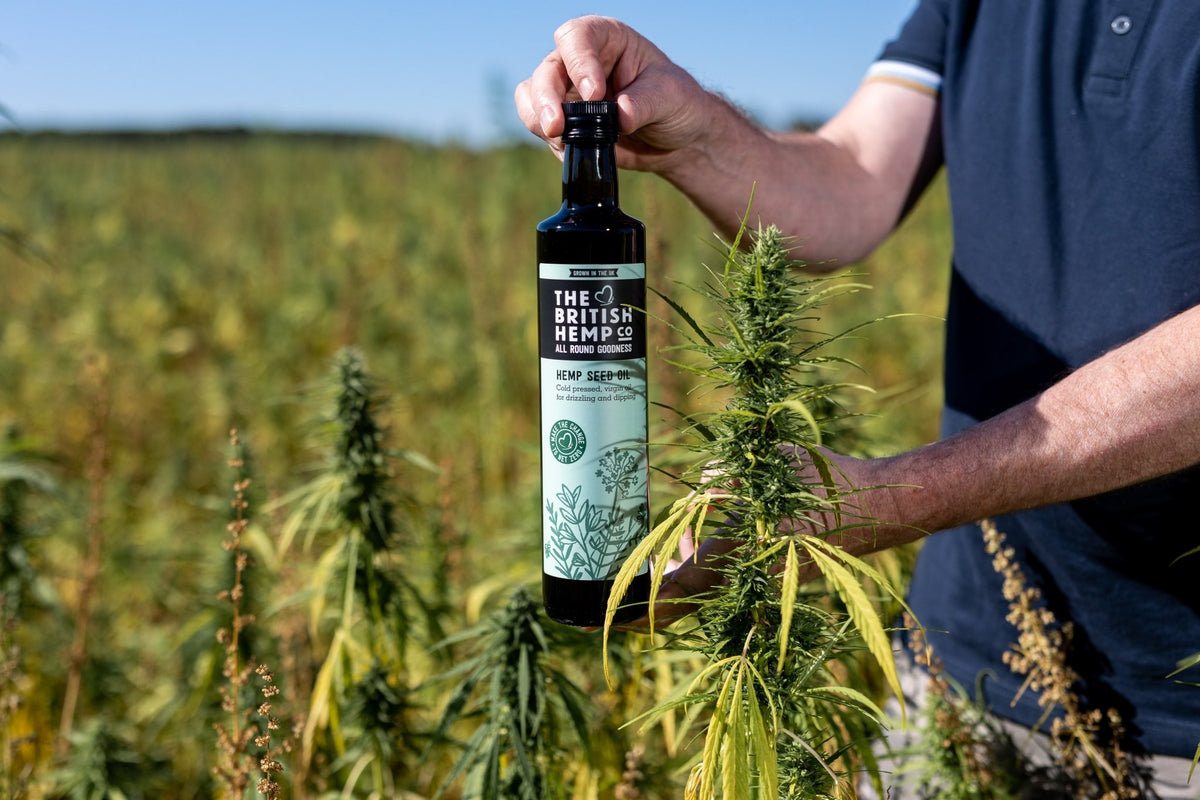 Hemp Seed Oil Nutritional Powerhouse The British Hemp Company